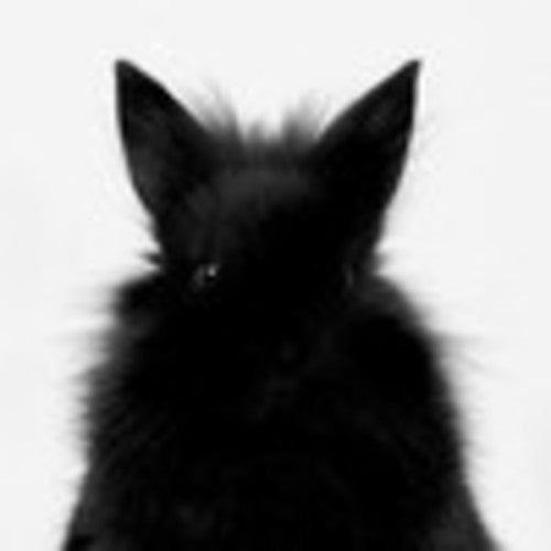 Little Rabbit