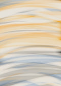 Picturesquehive portrait