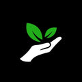 mygreenvalue portrait