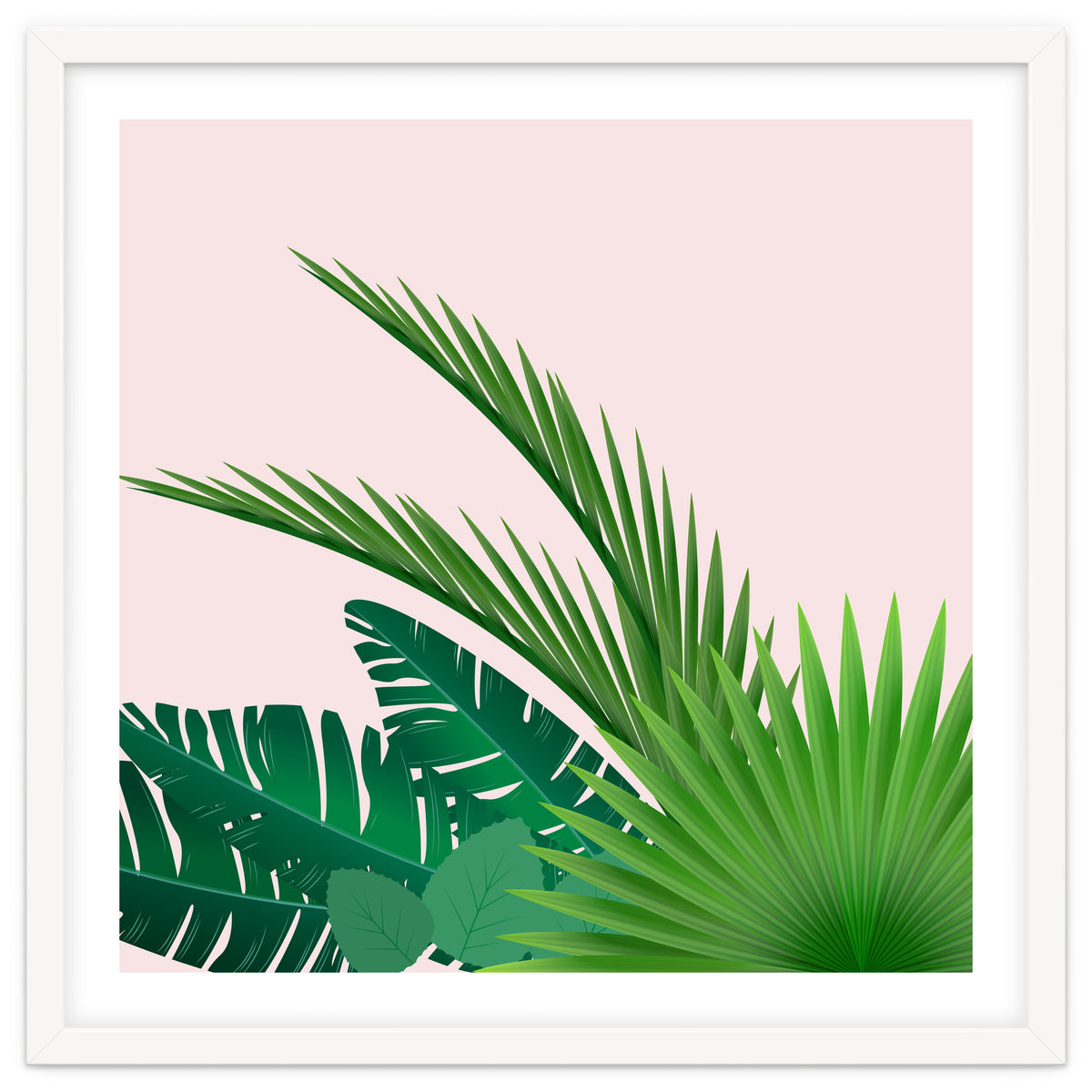 Tropical