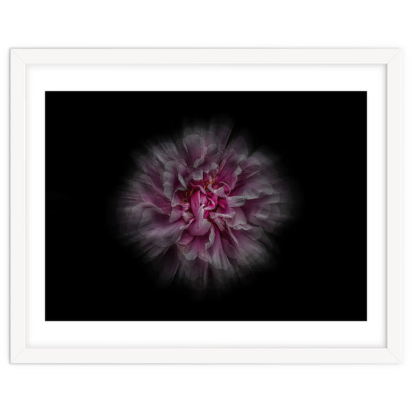 Backyard Flowers No 116 Color Flow Version