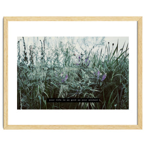 Photography - Summer Garden by natural neutral
