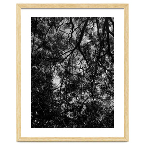 Tree From Below Black Silhouette by skyeaglephotography