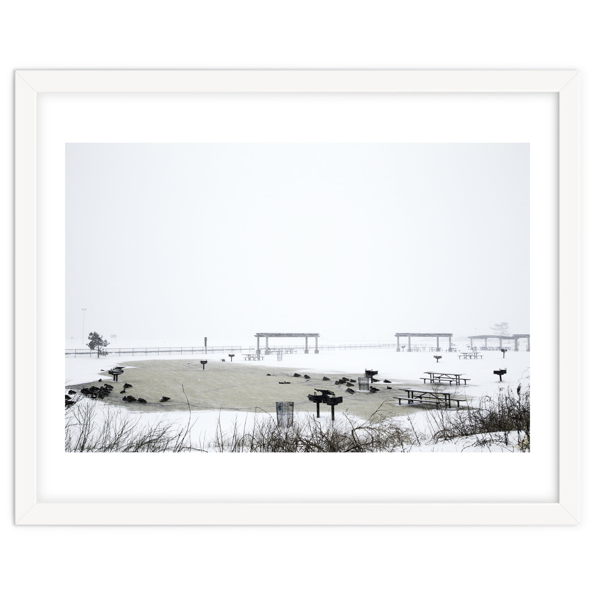 Blackbirds surrounding a frozen pond in winter