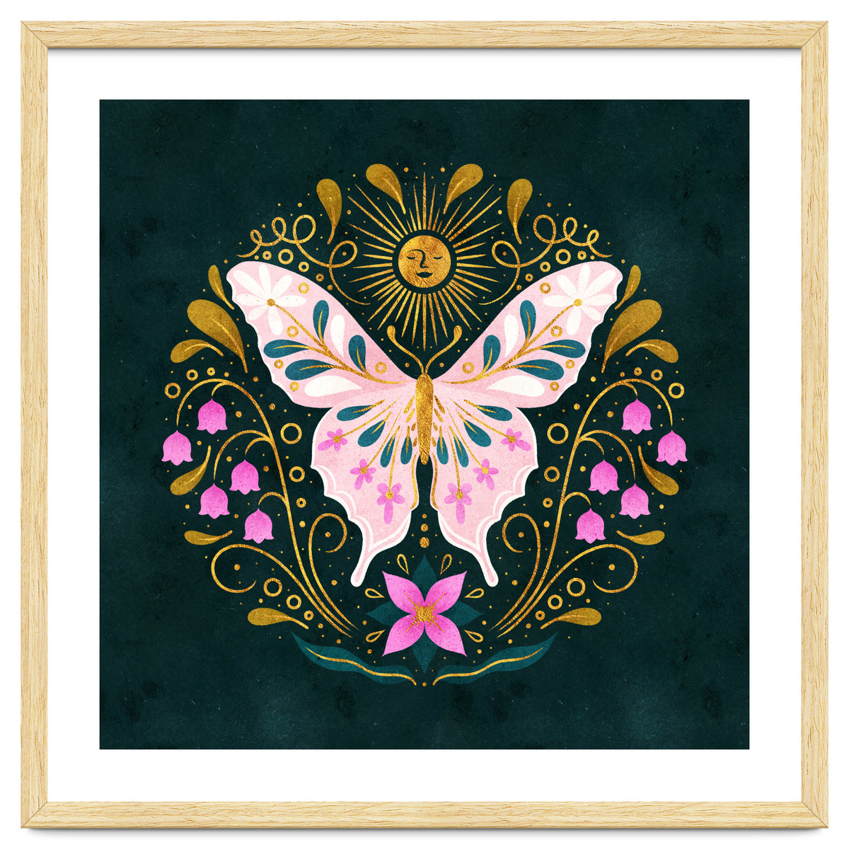 Butterfly And Sun