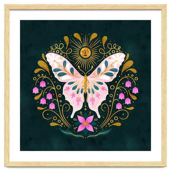 Butterfly And Sun