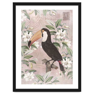 Exotic Bird Toucan by Andrea Haase