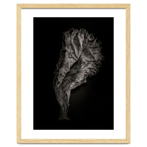 Leaves No 9 by The Learning Curve Photography