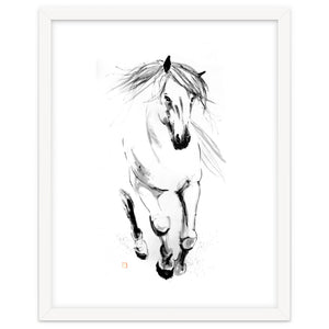 Runninh Ghorse In Water by pechane