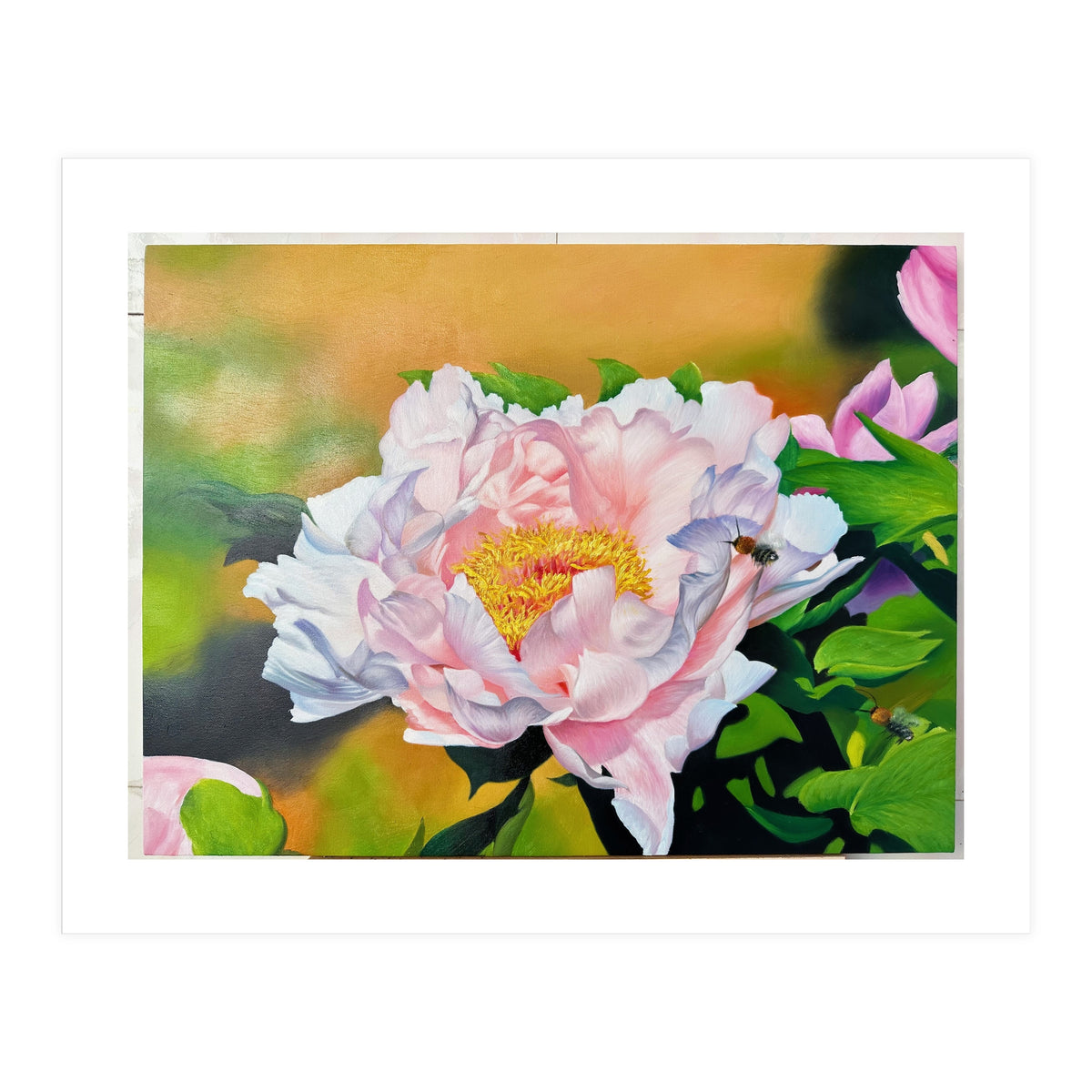 peony (Print Only)