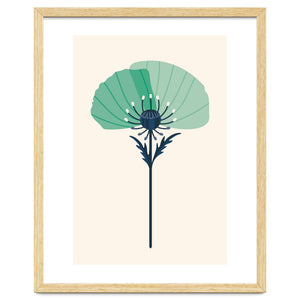 Teal Half Poppy by Taya Cosgrove
