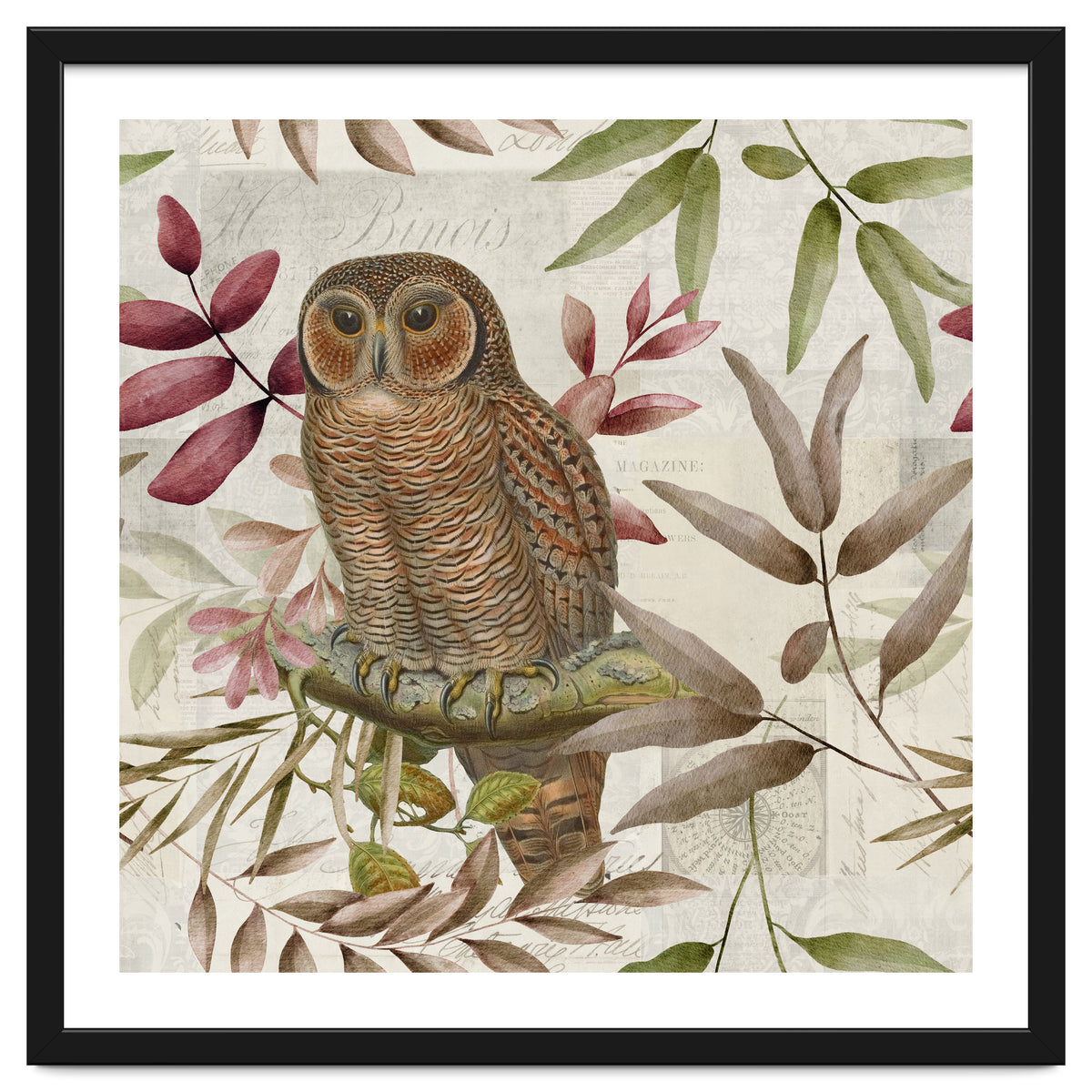Autumn Owl