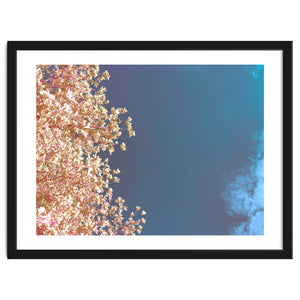 Leaves And Sky by Kerry Gerdes Photography