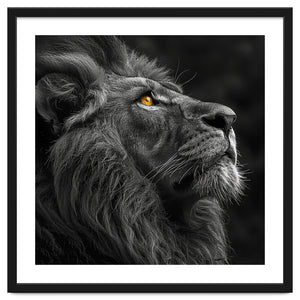 Majestic Lion Face Closeup Golden Eyes Black by Rizwana Khan