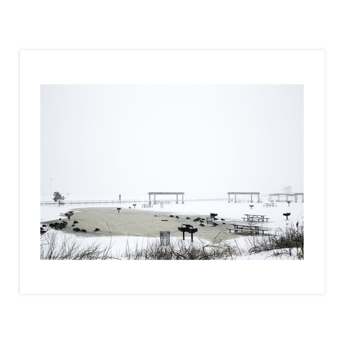 Blackbirds surrounding a frozen pond in winter (Print Only)