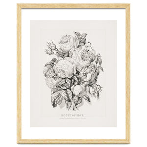 Currier & Ives – Rose of May (1870) by William Morrin