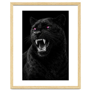 Black leopard with colorful eyes portrait by heaventrain