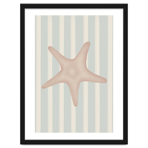 Starfish by Lisen Vennesland