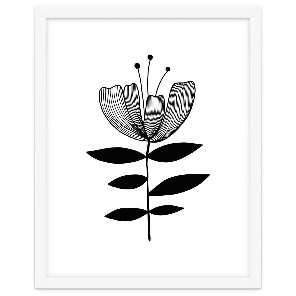 Tulip blossom