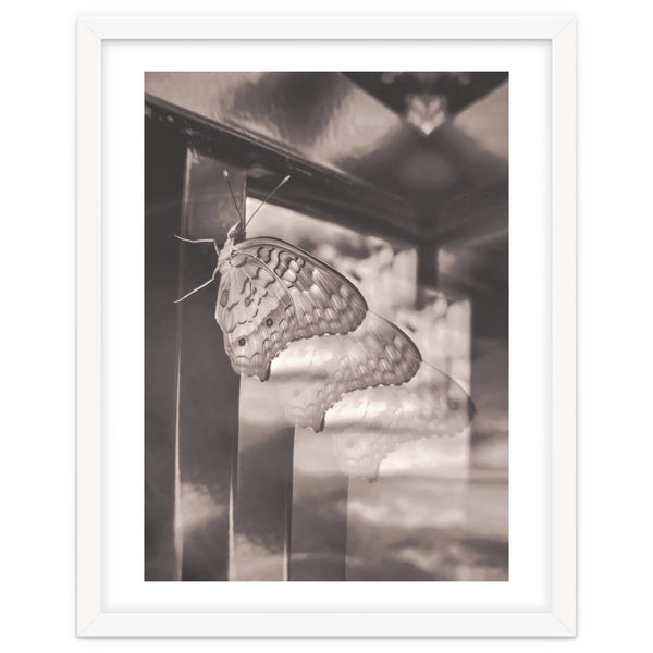 Evolving | Sepia
