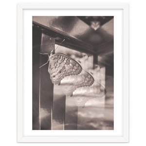 Evolving | Sepia by Laurenrfphoto