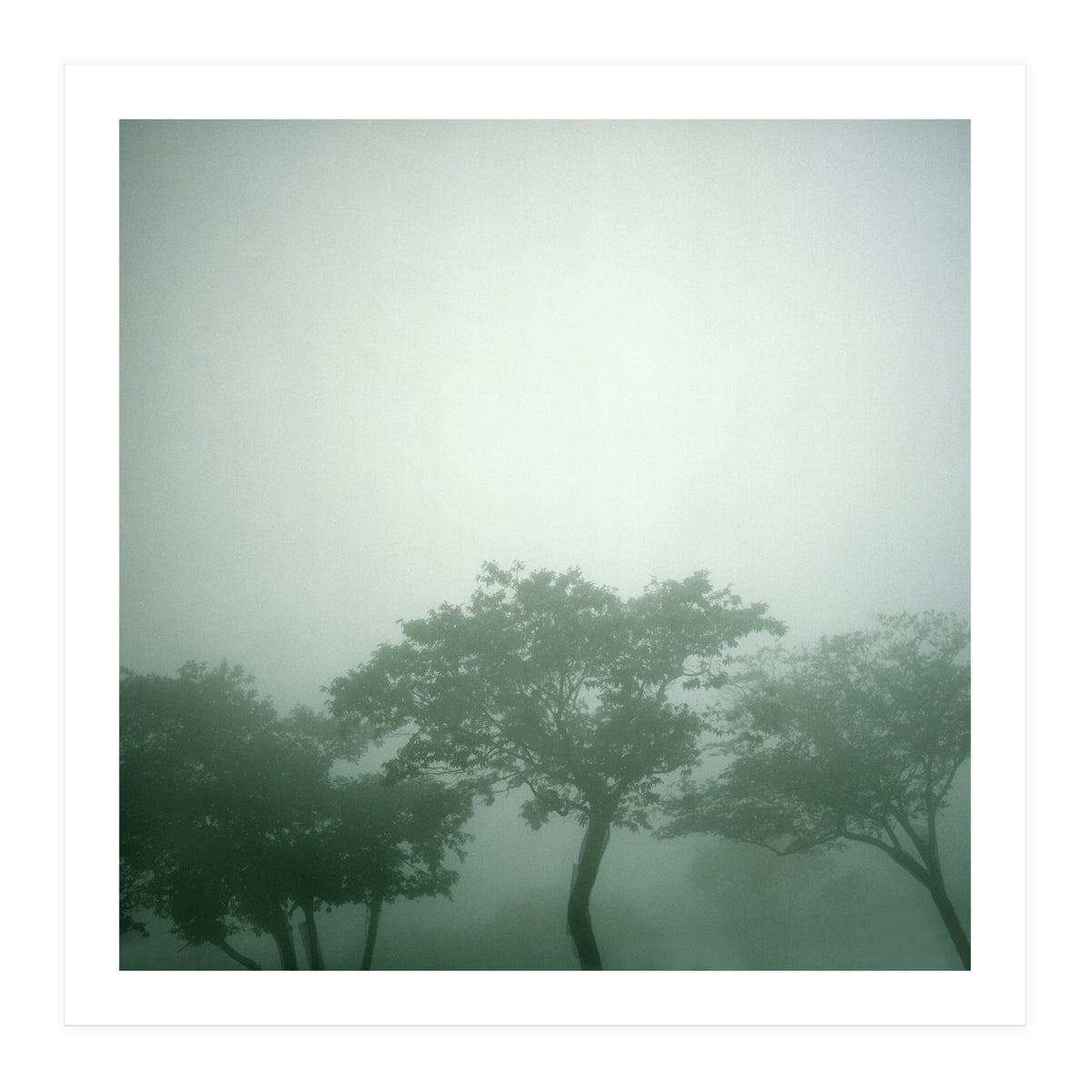 Silence of breath - 17 (Print Only)