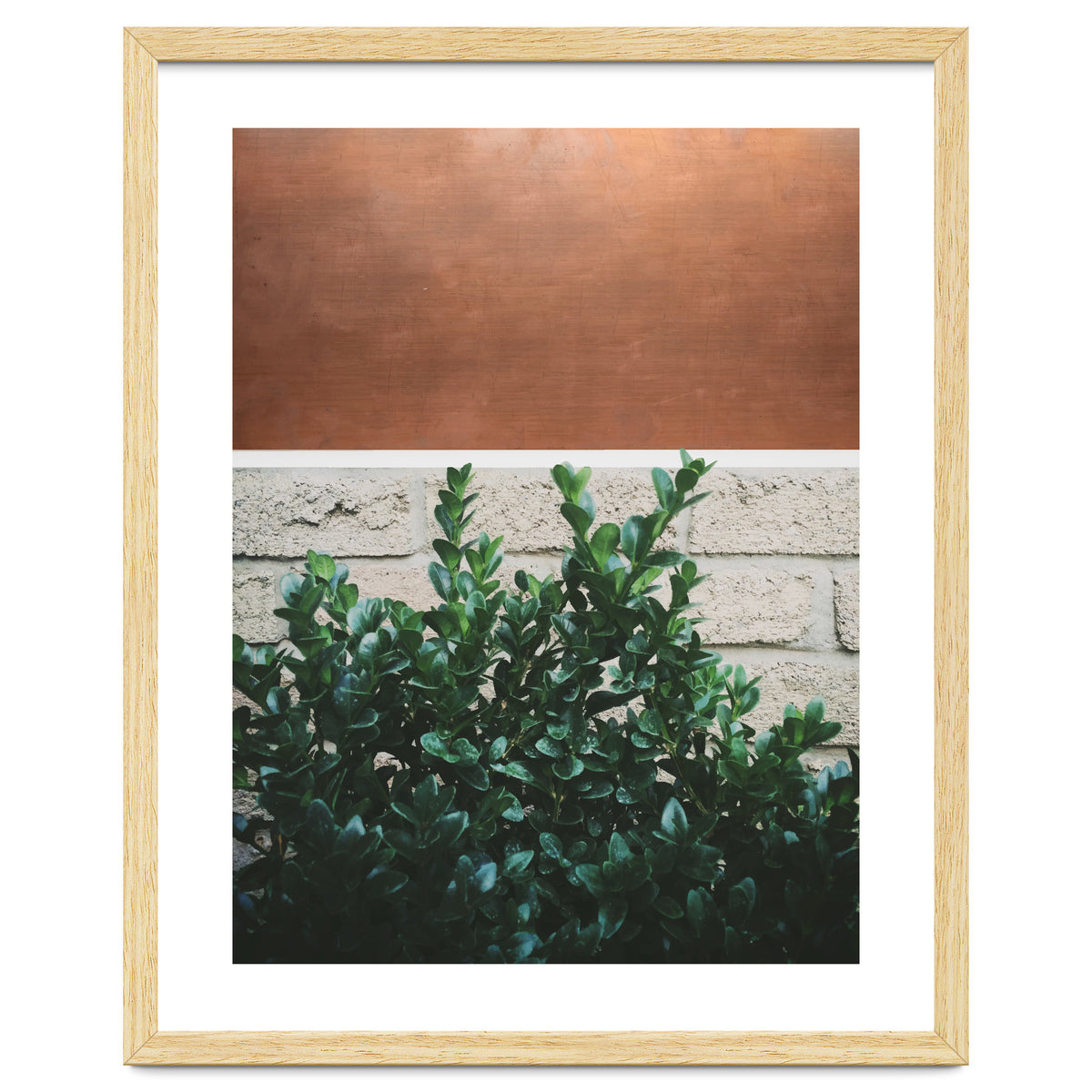 Plant + Copper
