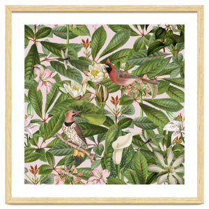 Tropical Bird Garden by Andrea Haase