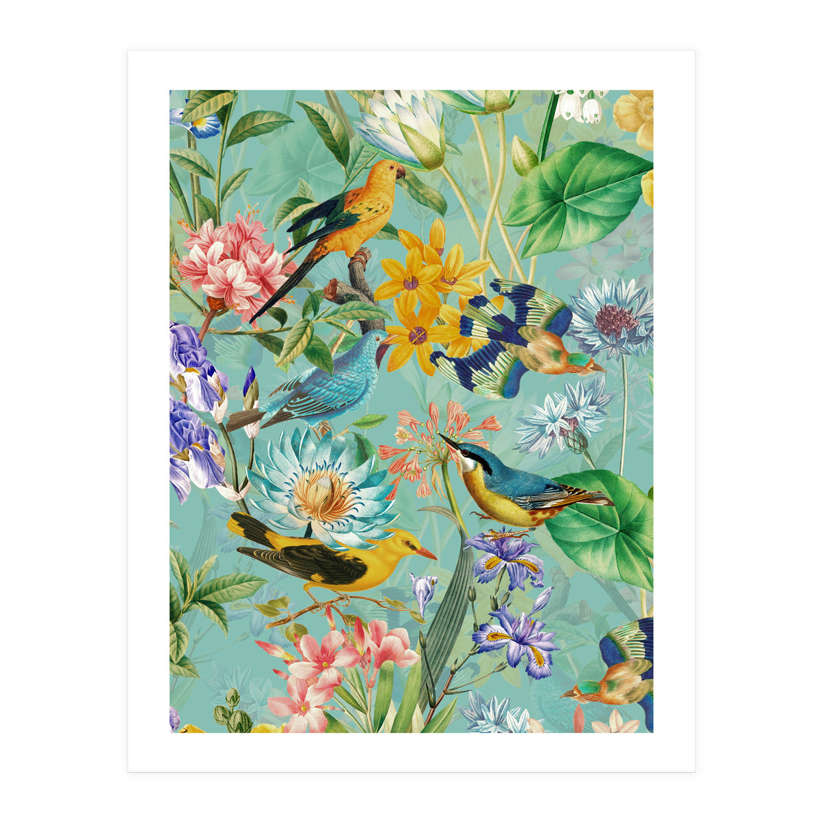 Birds In Tropical Jungle (Print Only)