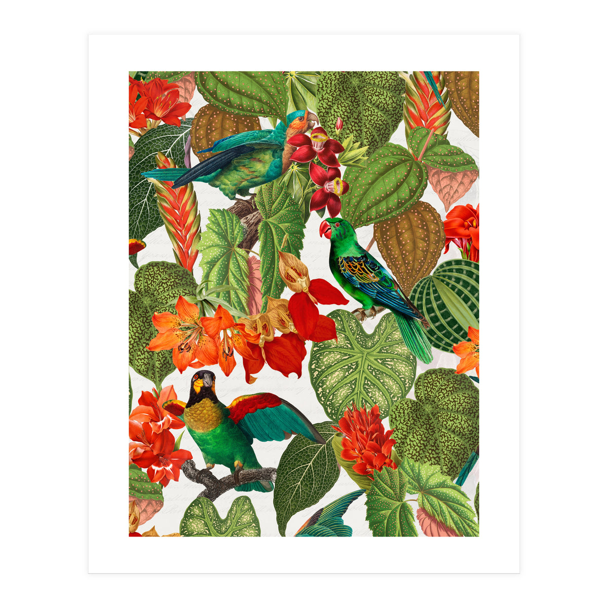 Tropical Parrots In Flower Jungle (Print Only)