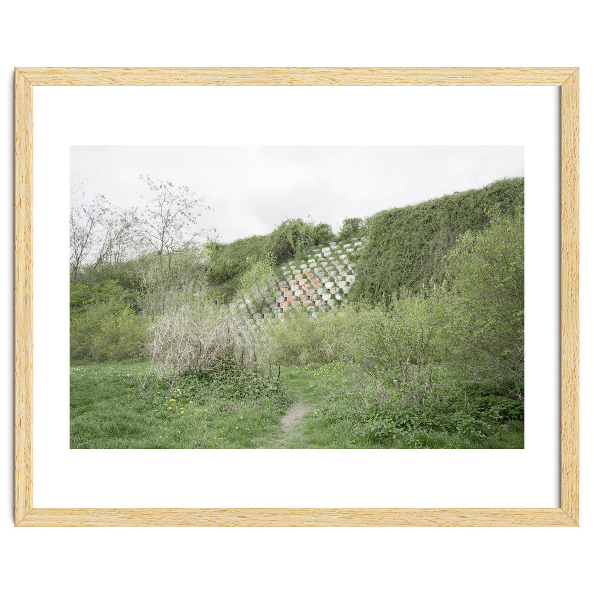 Green grass wall
