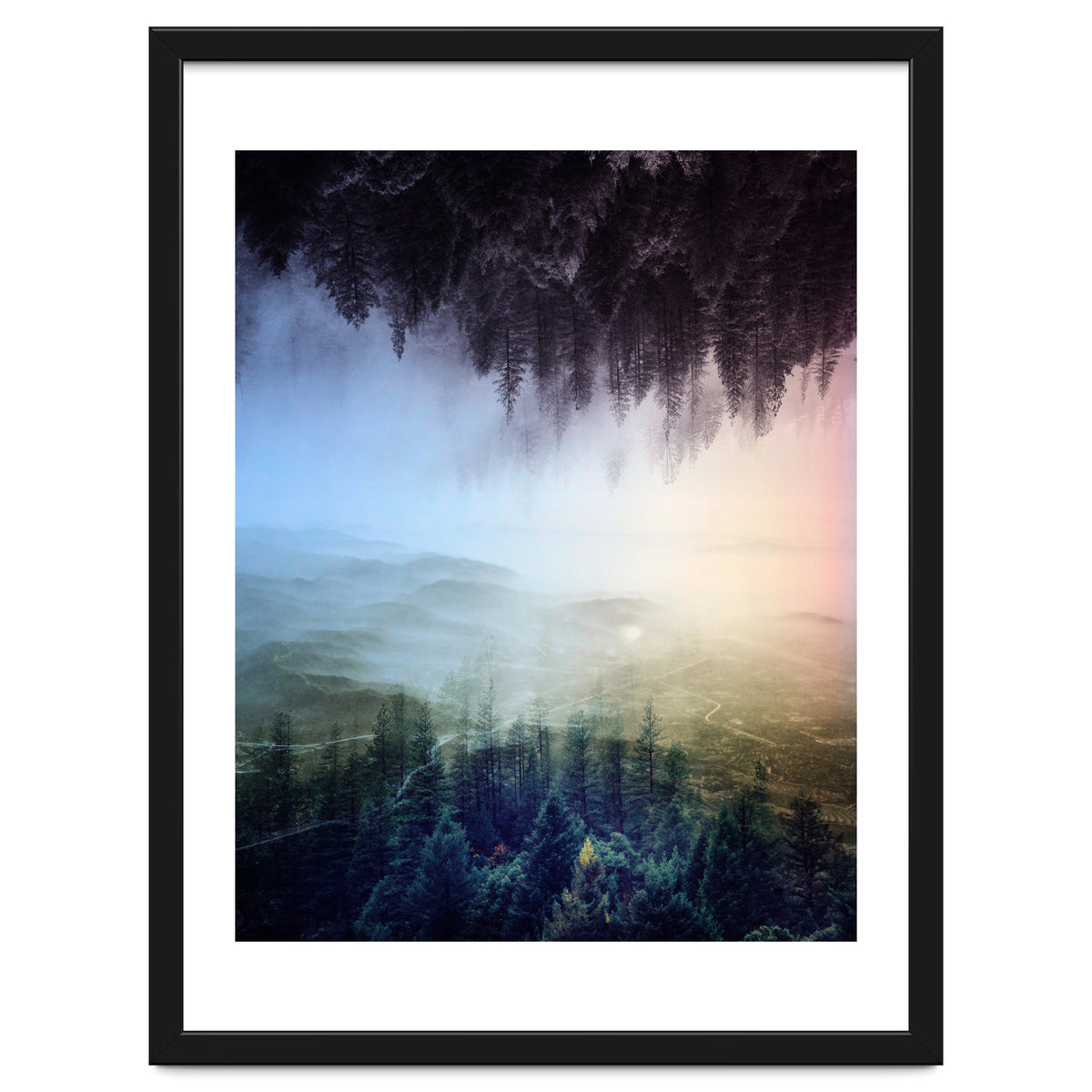 Magic Woods