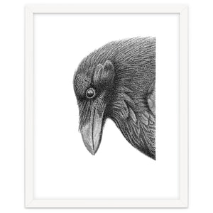 Huginn by Blackscatter