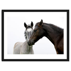 Two Horses by Alexey