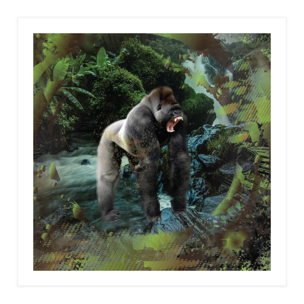 Gorilla (Print Only)