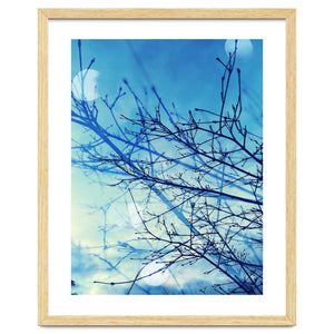 Winter by Kerry Gerdes Photography