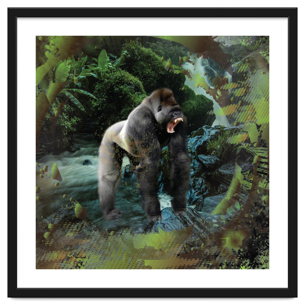 Gorilla