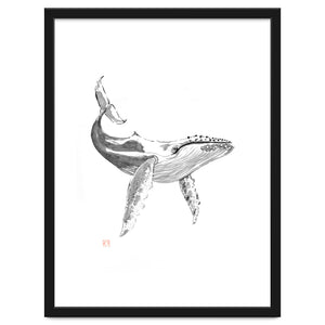 Whale by pechane