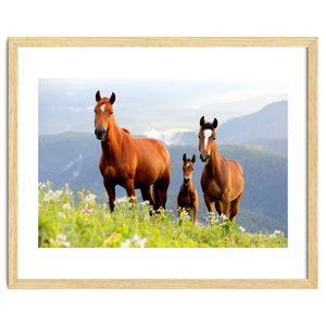 Three Horses by Alexey
