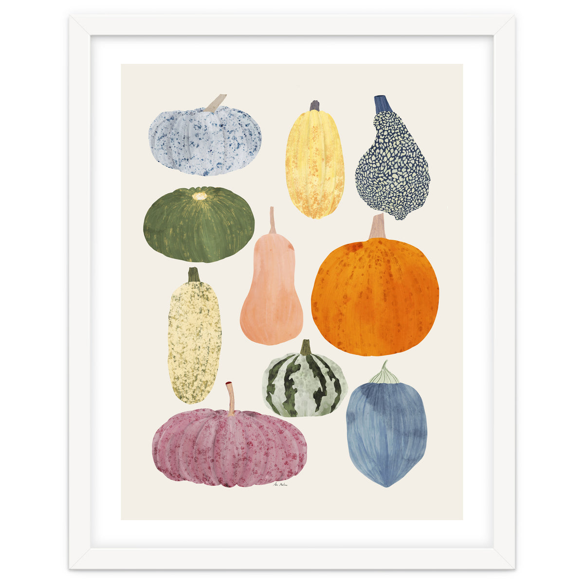 Still Life Of Pumpkins