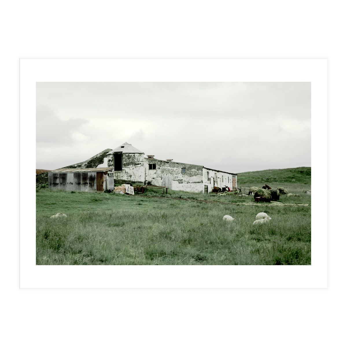 Sheep with a farmhouse - Iceland (Print Only)