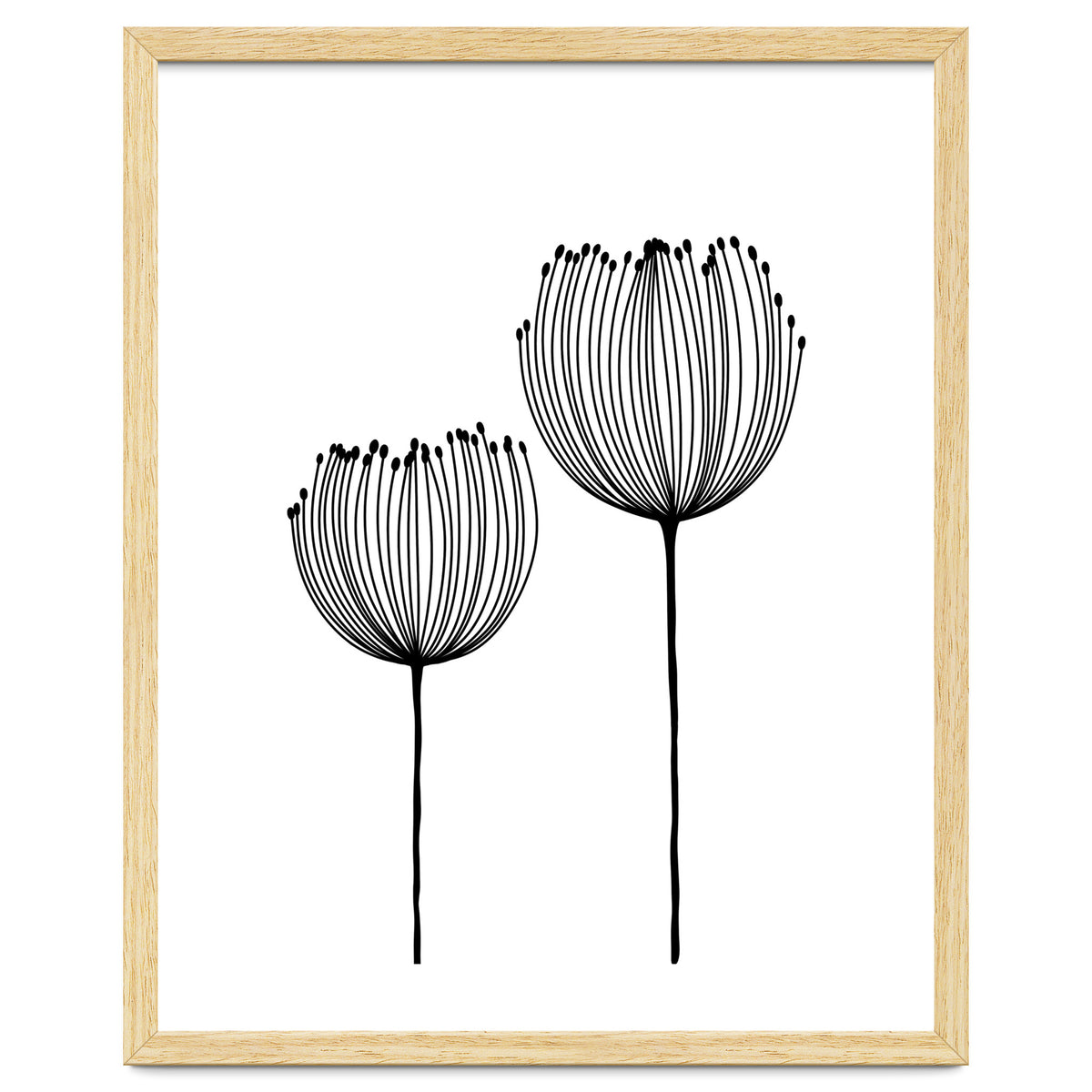 Two wildflowers