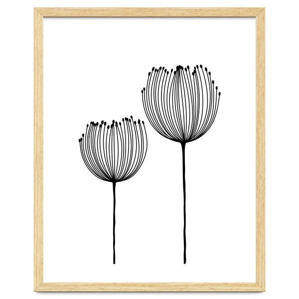 Two wildflowers