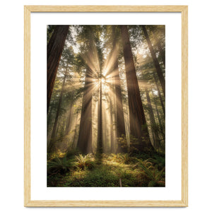 Ethereal Redwood Sanctuary: Sunbeams in the Ancient Forest by artistic