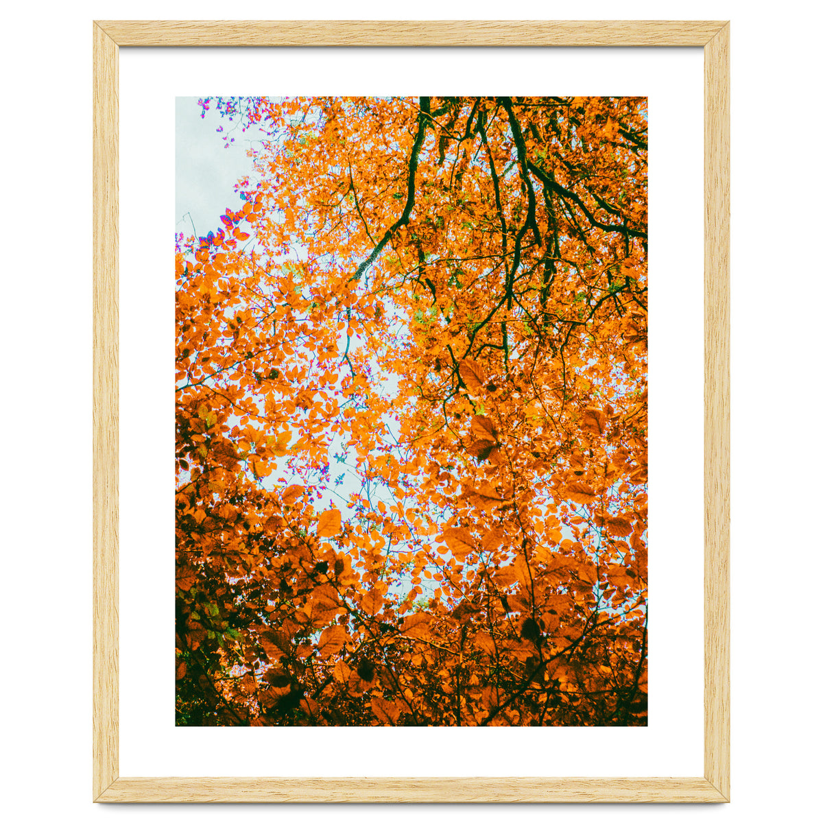 Autumn Leaves