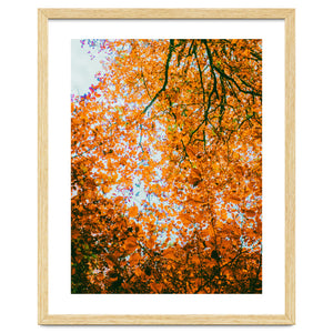 Autumn Leaves by Kerry Gerdes Photography