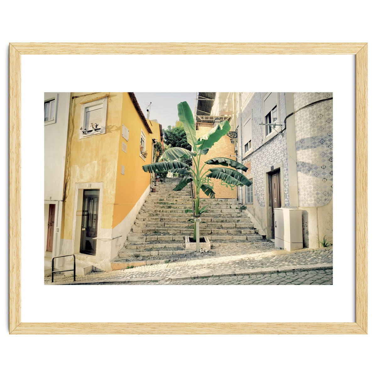 Lisbon Palm Tree