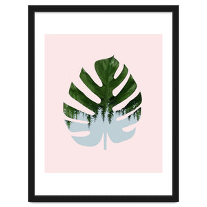 Monstera by 83 Oranges