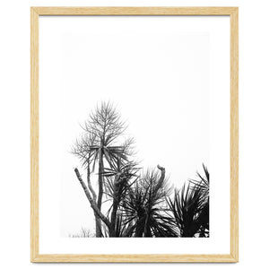 Miminalist Palm by Debra Cox