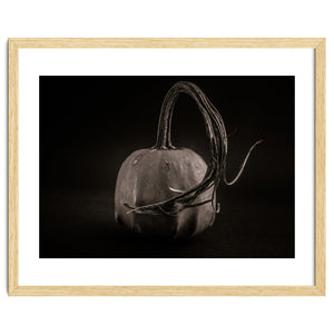 Gourds No 14 by The Learning Curve Photography